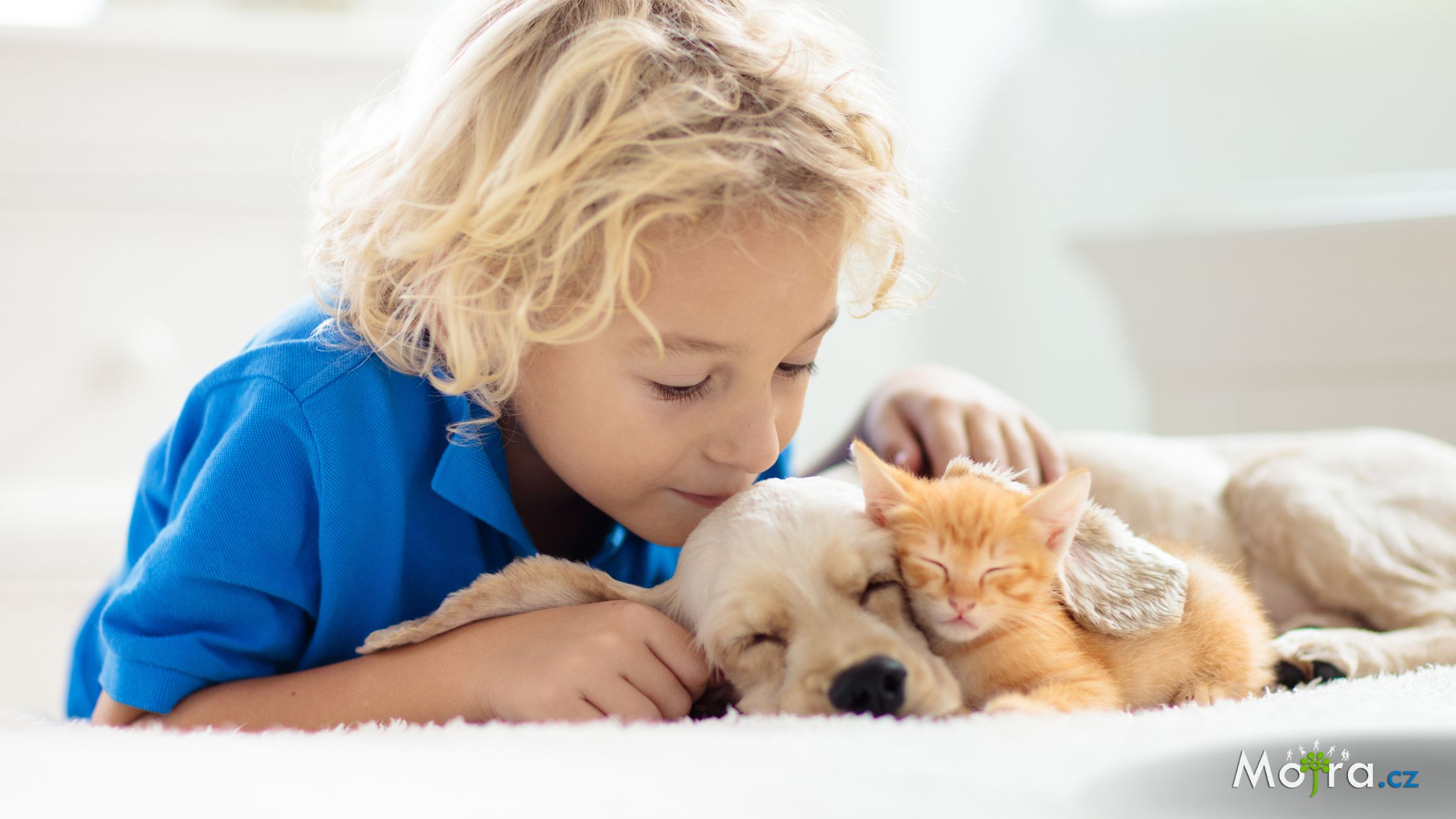Vliv domácího mazlíčka na psychiku a vývoj dítěte