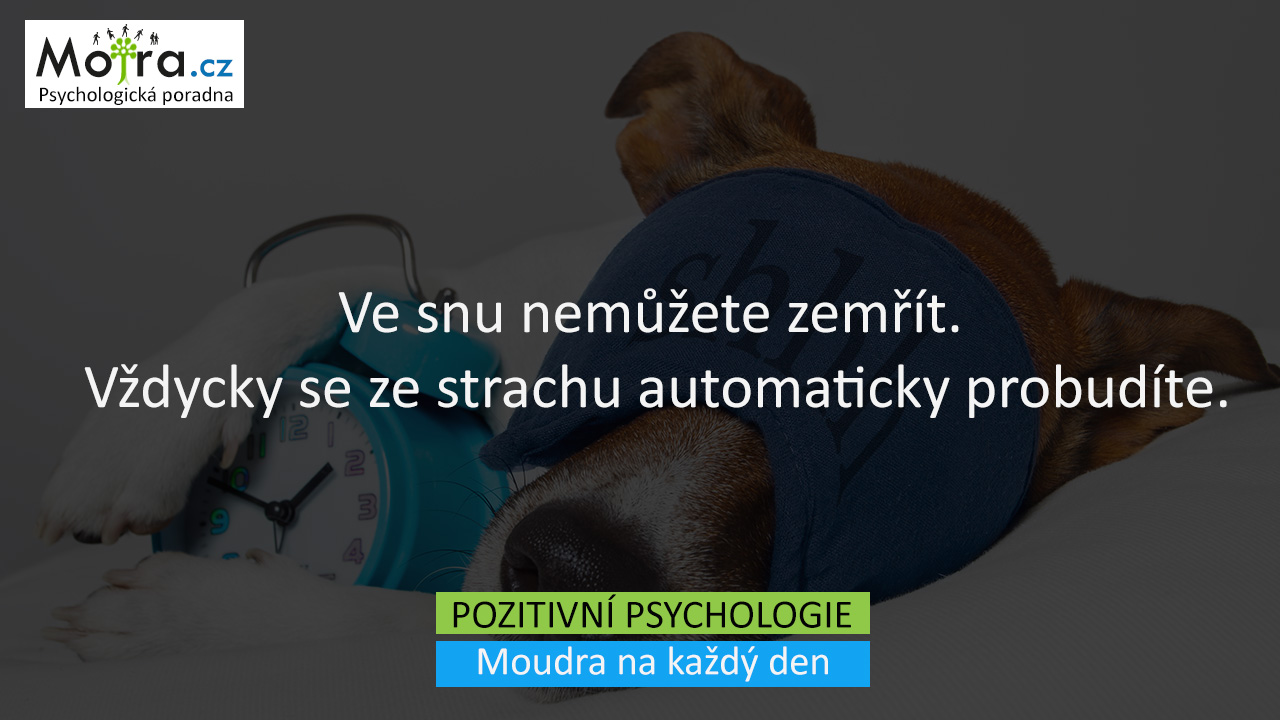 Ve snu nemůžete zemřít. Vždycky se ze strachu automaticky probudíte.